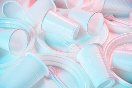 Single Use Plastics – Cosa prevede il recepimento della Direttiva 2019/904?