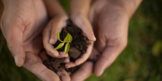 Il ruolo cruciale della formazione ambientale in azienda